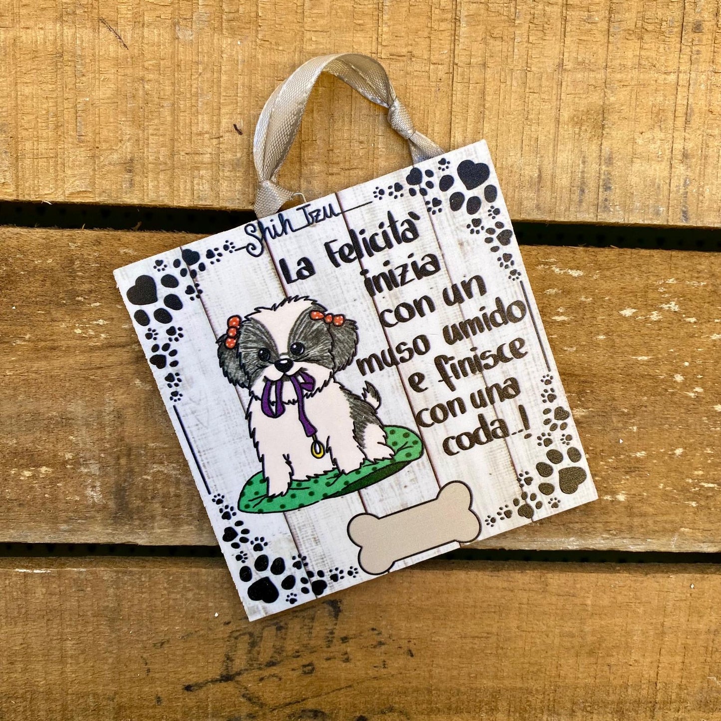 TC10 Shih Tzu