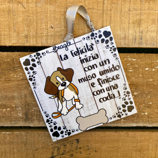 TC8 Beagle